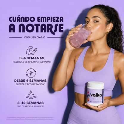Creatina + Colágeno + BCAA | Curve Fuel